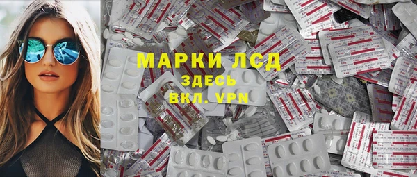 сатива Алзамай