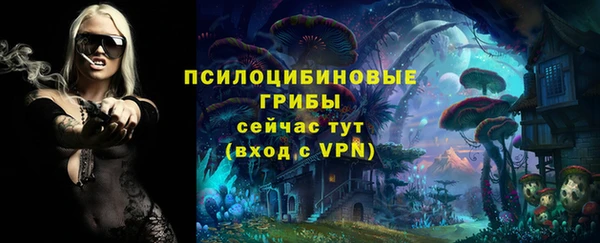 сатива Алзамай