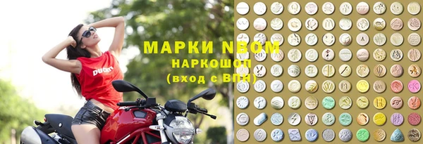 сатива Алзамай