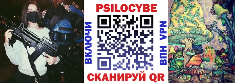 купить   Ахтубинск  Псилоцибиновые грибы прущие грибы 