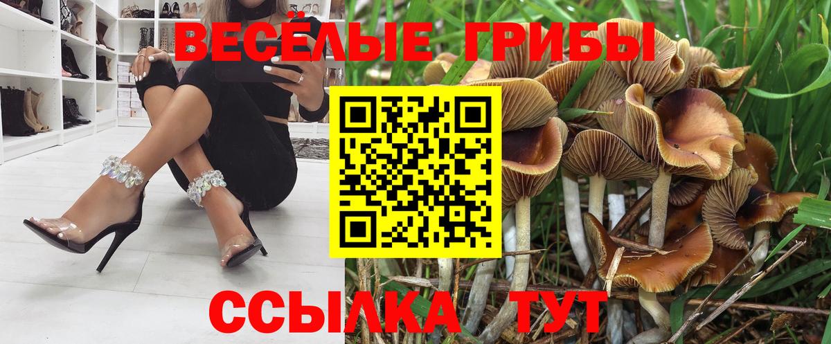 Галлюциногенные грибы MAGIC MUSHROOMS Ахтубинск