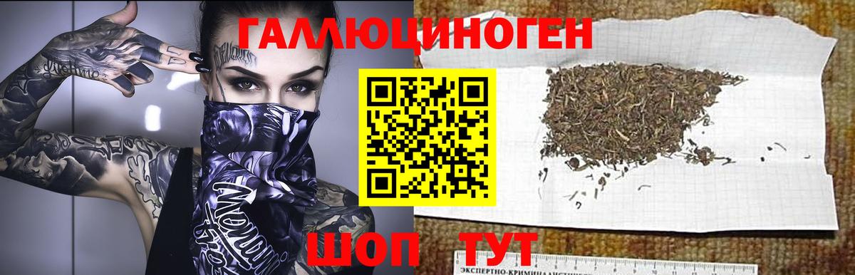 Псилоцибиновые грибы Psilocybine cubensis  Вход с VPN  Псилоцибиновые грибы мухоморы  Ахтубинск 