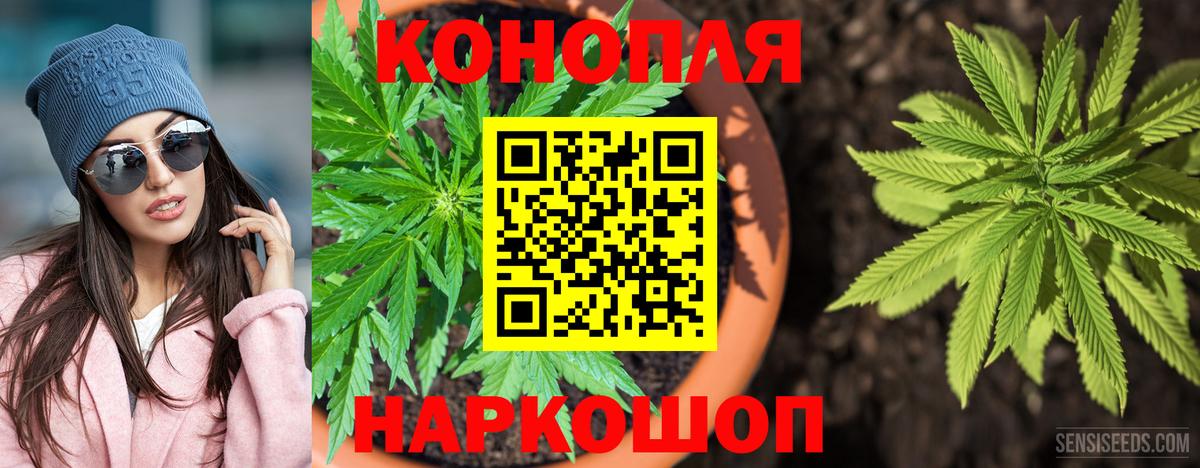 Шишки марихуана план  Вход с VPN  Канабис SATIVA & INDICA  Ахтубинск 